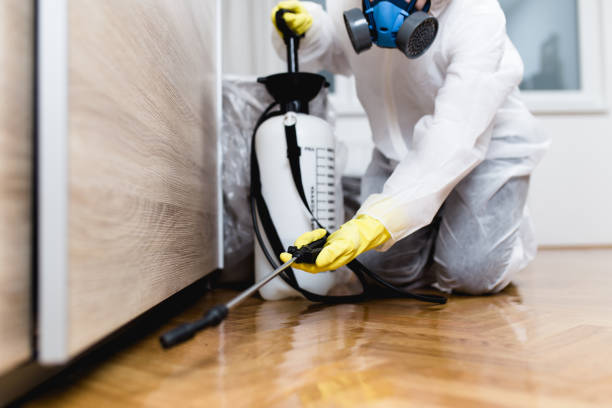 Insect Control in Senoia, GA