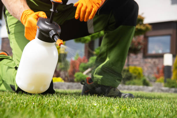 Best Best Pest Control Companies  in Senoia, GA