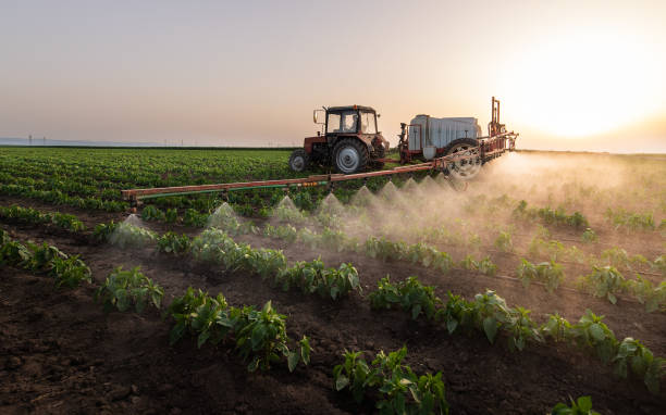 Best Commercial Pest Control Services  in Senoia, GA