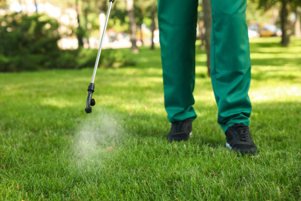 Wildlife Control Services in Senoia, GA
