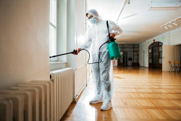 Best Insect Control  in Senoia, GA